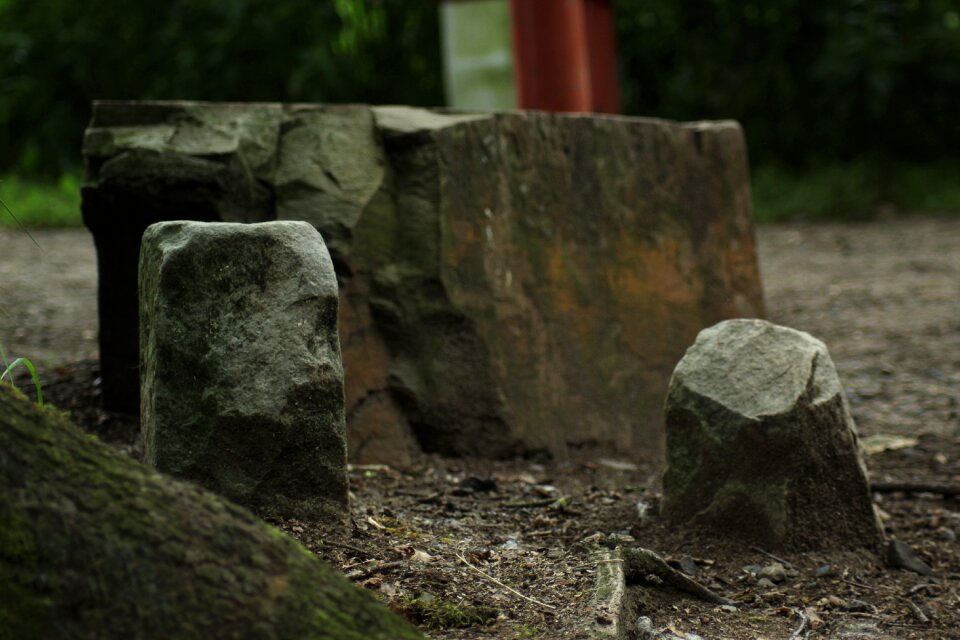 Stones forest nature
