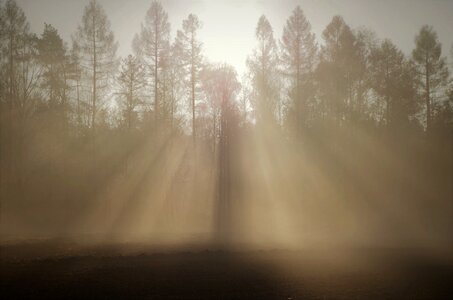 The dawn family haze at the court of