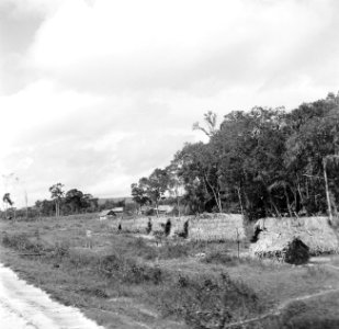 Hutten langs het tracee van de goudveldentrein tussen Paramaribo en Kabelstation, Bestanddeelnr 252-5977 photo