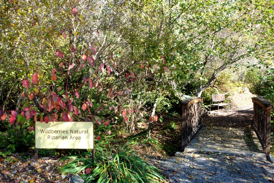Humboldt Botanical Garden - Eureka, California - DSC02579