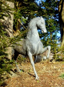 Horse statue - Arlington, MA - DSC05403
