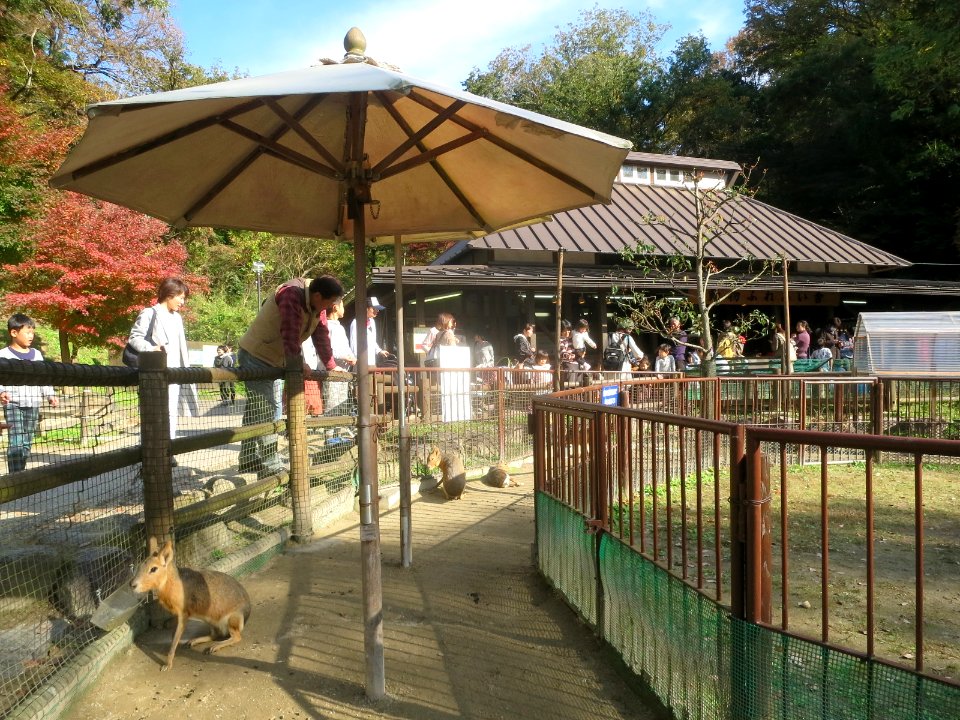Higashi-Park-Animals-1