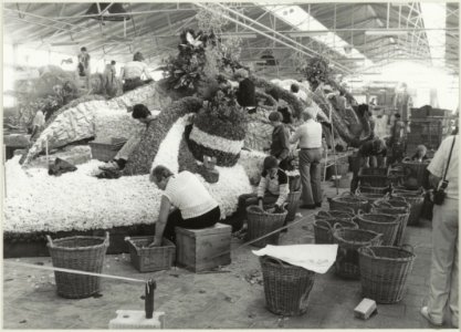 Het opbouwen van de praalwagens voor het bloemencorso 1984 in de hallen van de Hobaho bloembollenveiling te Lisse