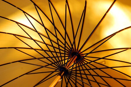 Umbrella scenery brown umbrella