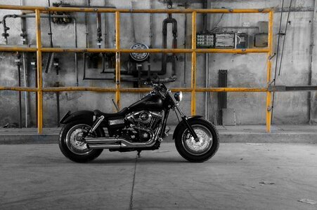 Harley harley-davidson motorrad photo