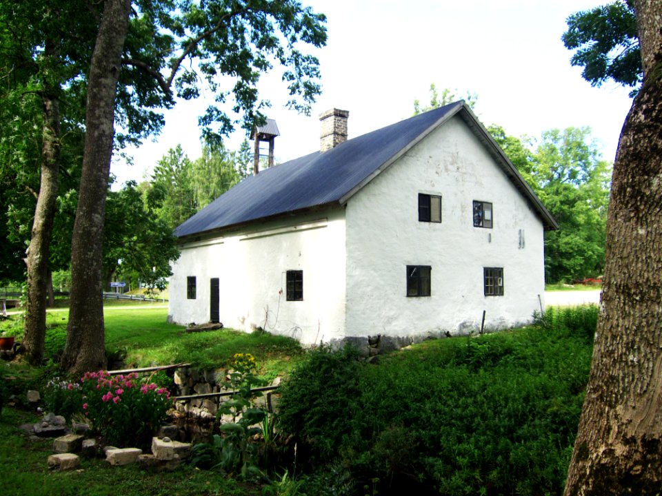 Hillebola mejeri