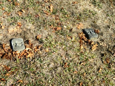 Hillcrest Cemetery (Grafton State Hospital Memorial Cemetery) - Shrewsbury, MA - DSC04487