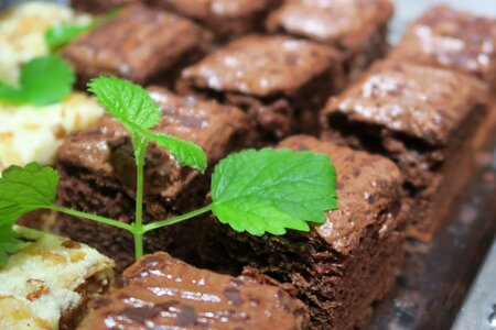 Chocolate cake chocolate cookies
