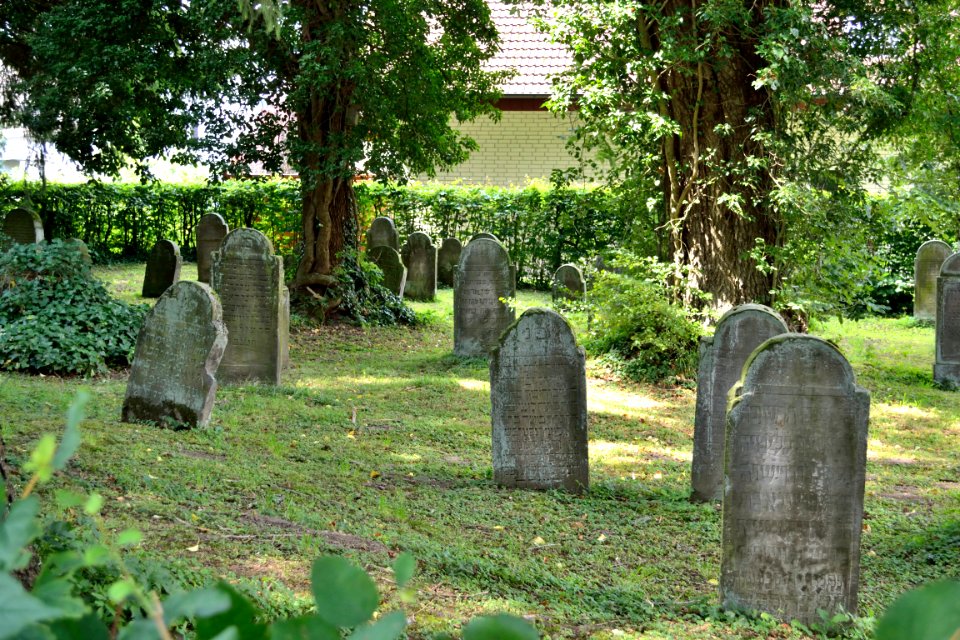 Horn - 01.39 - Jüdischer Friedhof Paderborner Str. (4)