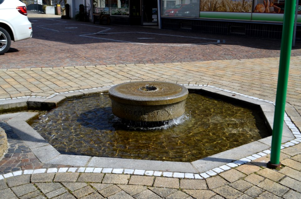 Hornberg, Brunnen, Traubenplatz