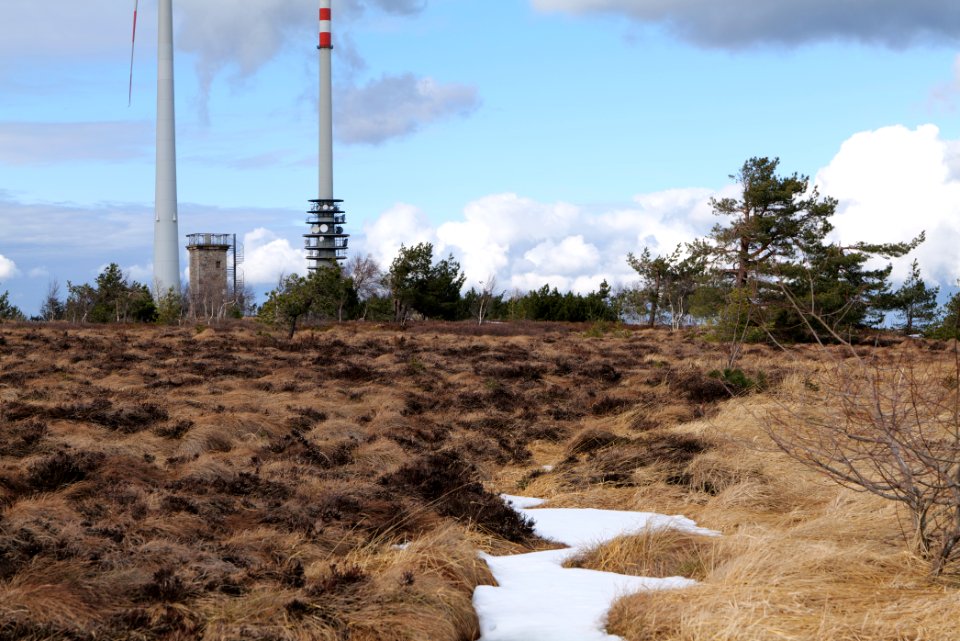 Hornisgrinde bog 2020-03-14 14