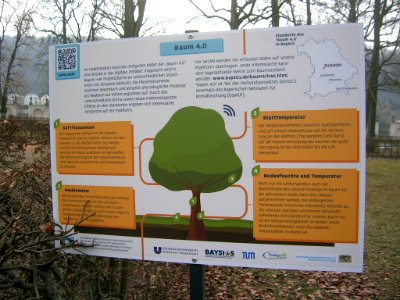 Hofgarten Eichstätt -Baum 4.0 Infotafel (2020-01)