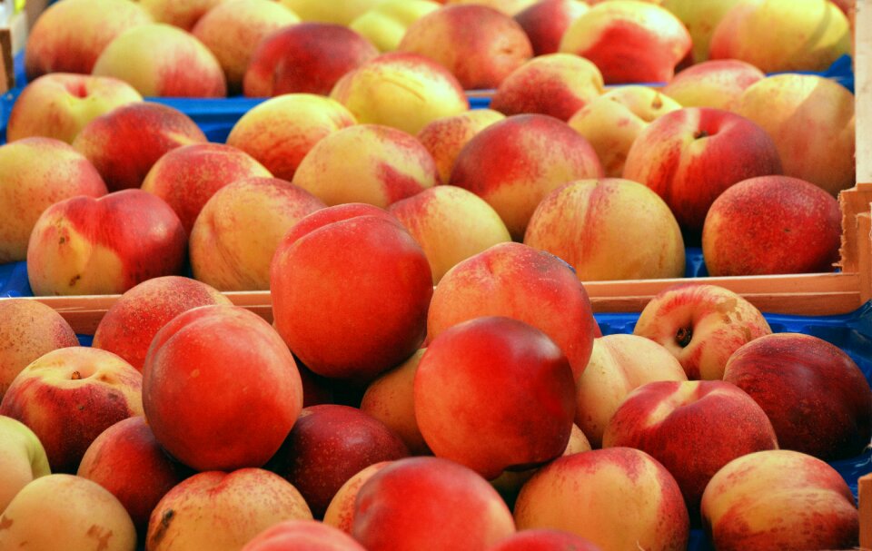 Juicy healthy market