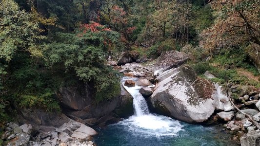 Himalayan stream flowing in Great Himalayan National park India