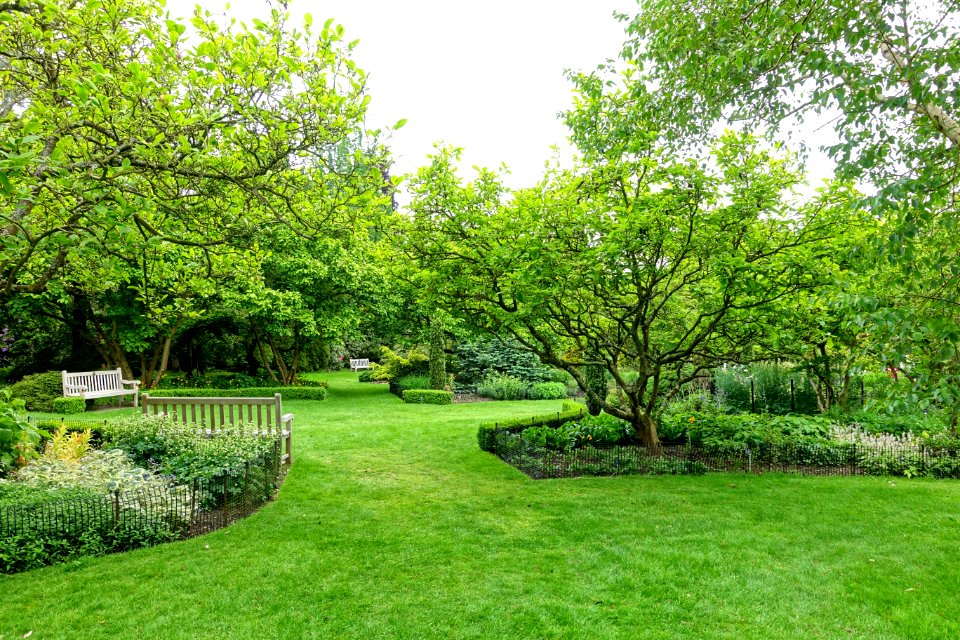 Hillier Gardens - Romsey, Hampshire, England - DSC04967