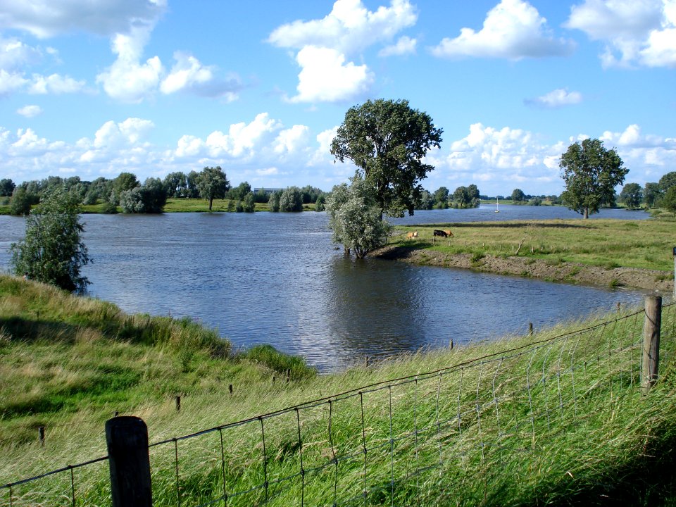 Het Wild, la Hertogswetering se jette dans la Meuse