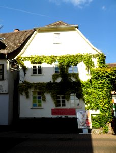 Hofheim, Burgstraße 7