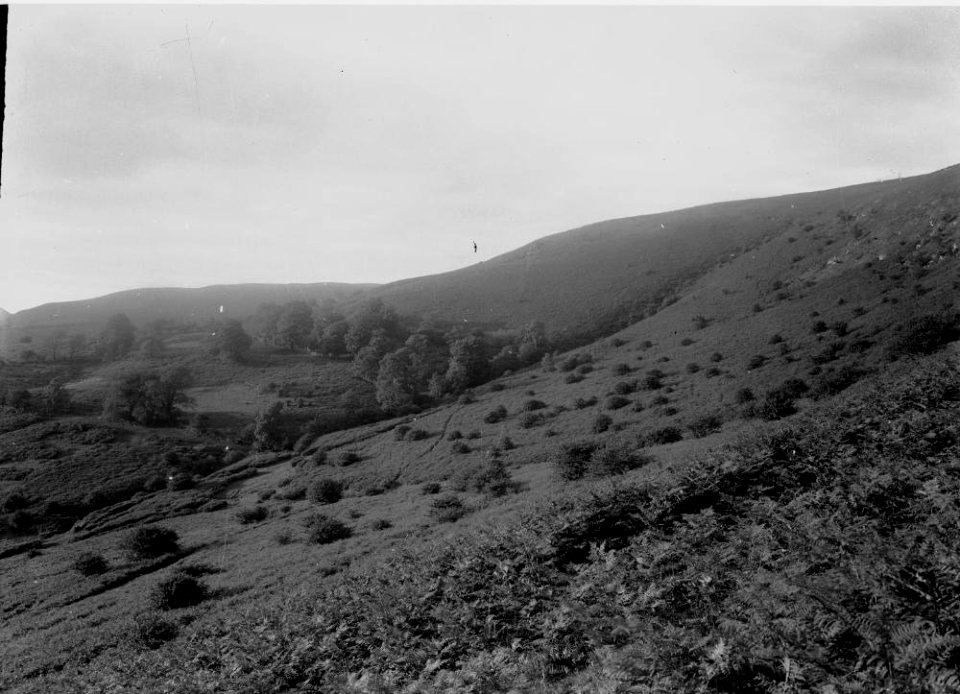 Hillside (1295058)