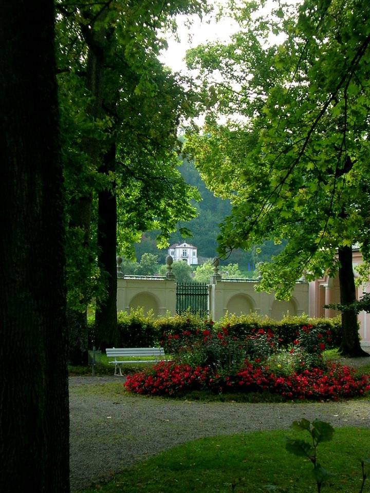 Hofgarten Eichstätt -Blumenrondell 2