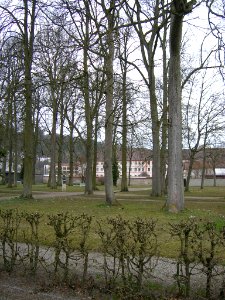 Hofgarten Eichstätt -Blick zum Priesterseminar (1)