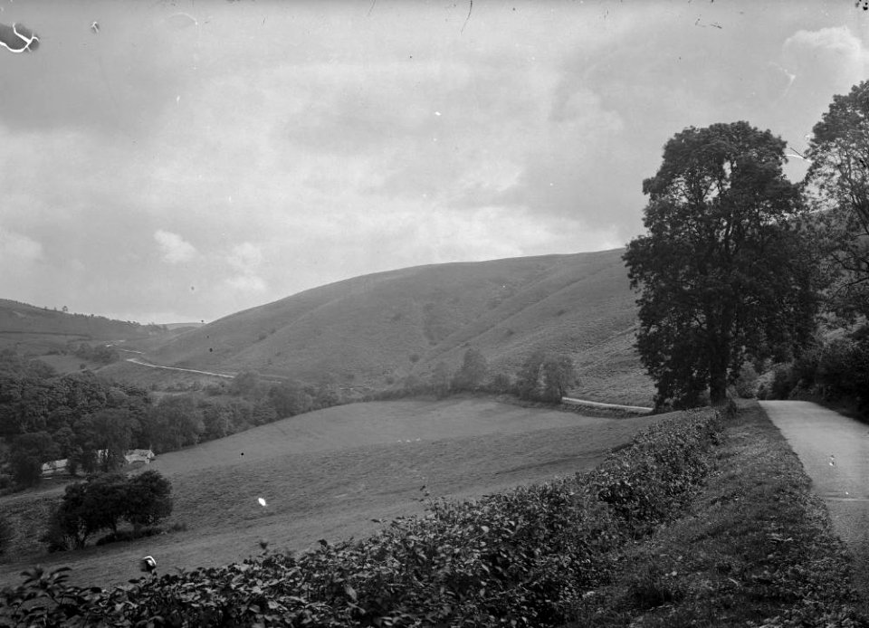Hillside (1294398)