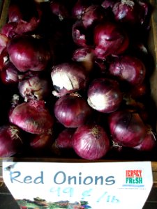 Hillview Farms red onions photo