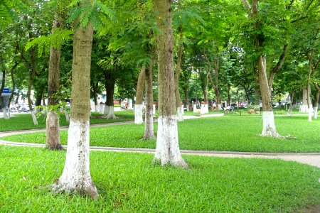 Hoan Kiem Lake - Hanoi, Vietnam - DSC03691