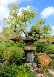 Ishidoro Stone Lantern, 1681, from Kan'eiji temple, Tokyo - Morikami Museum and Japanese Gardens - Palm Beach County, Florida - DSC03526