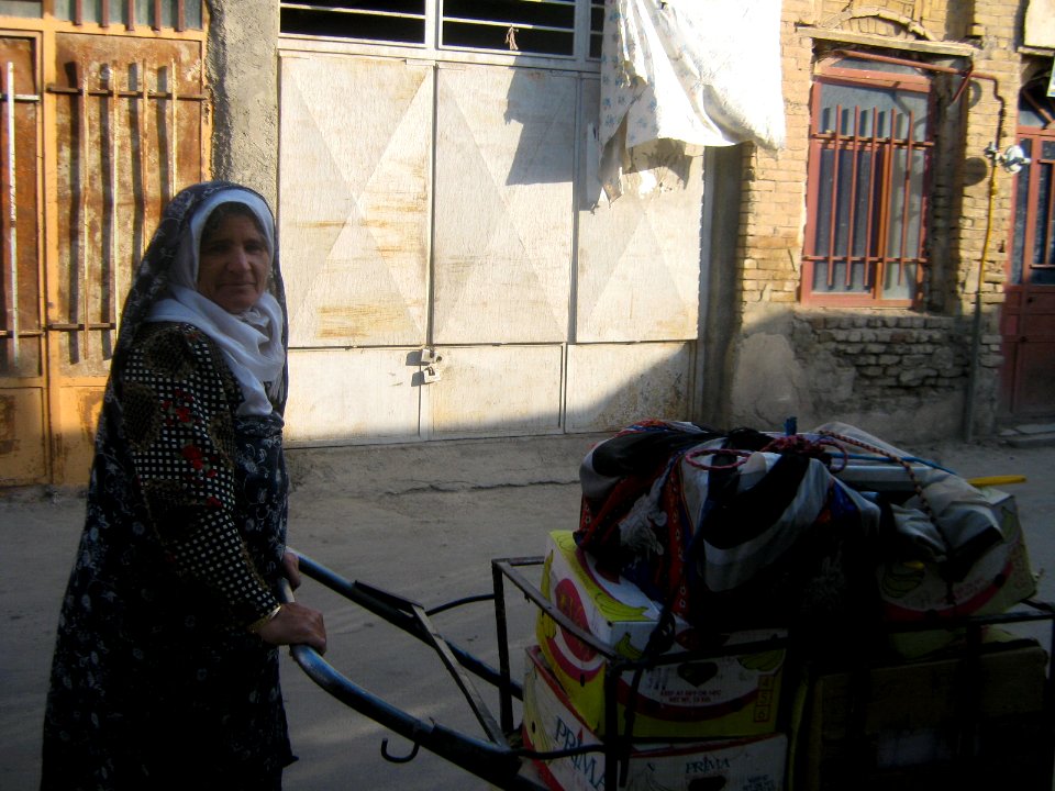 Iranian Draywoman in Bazaar of Nishapur 1