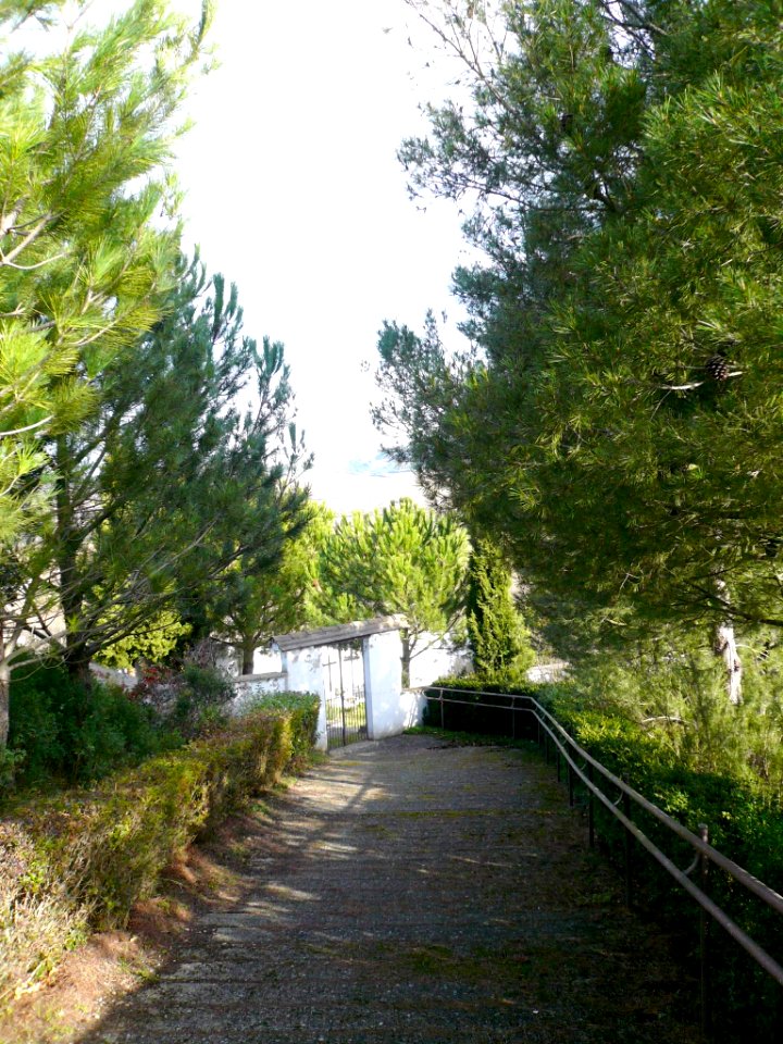 Ircio - Cementerio 1