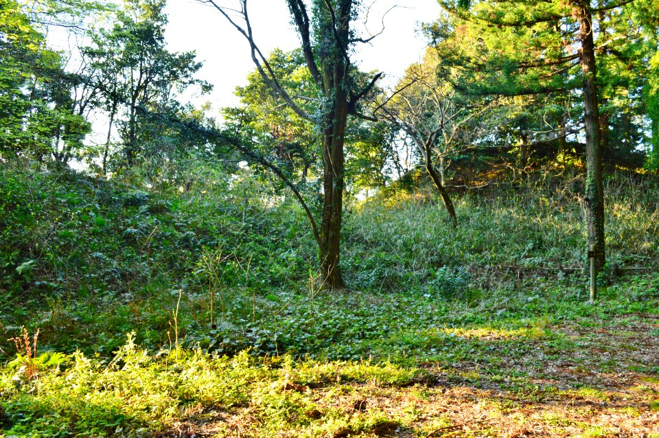 Ishiumadani Kofun, funkyu