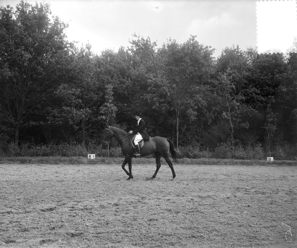 Internationaal Concours Hippique Rotterdam, mevrouw E. Bigler , Zwitserland, Bestanddeelnr 905-9288