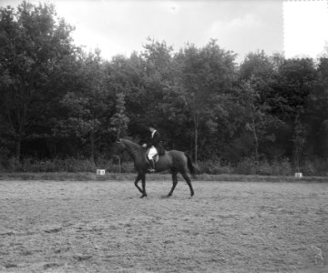 Internationaal Concours Hippique Rotterdam, mevrouw E. Bigler , Zwitserland, Bestanddeelnr 905-9288