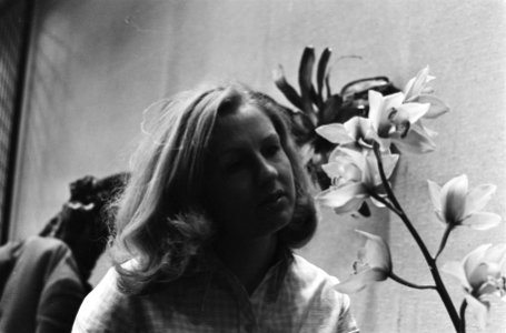 Internationale Orchideeententoonstelling in Koninklijk Instituut voor de Tropen…, Bestanddeelnr 924-3263