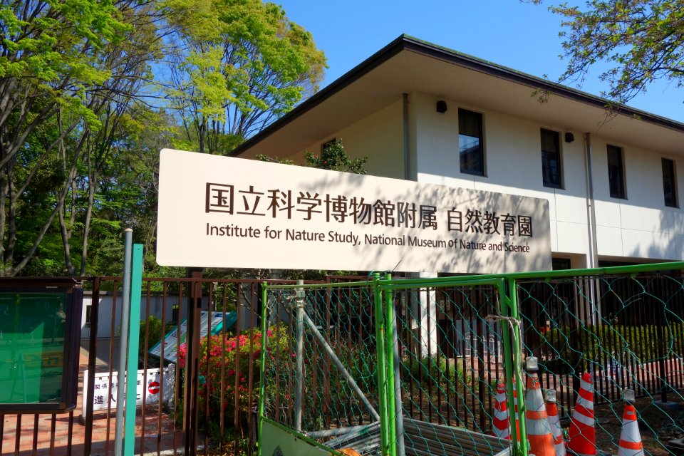Institute for Nature Study, Tokyo - DSC02068
