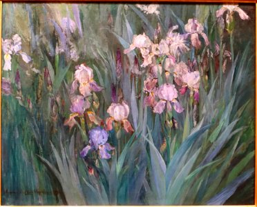 Iris at Dawn by Maria Oakey Dewing, 1899, oil on canvas - Currier Museum of Art - Manchester, NH - DSC07893