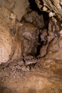 Kälberschlaghöhle (A 14) 39