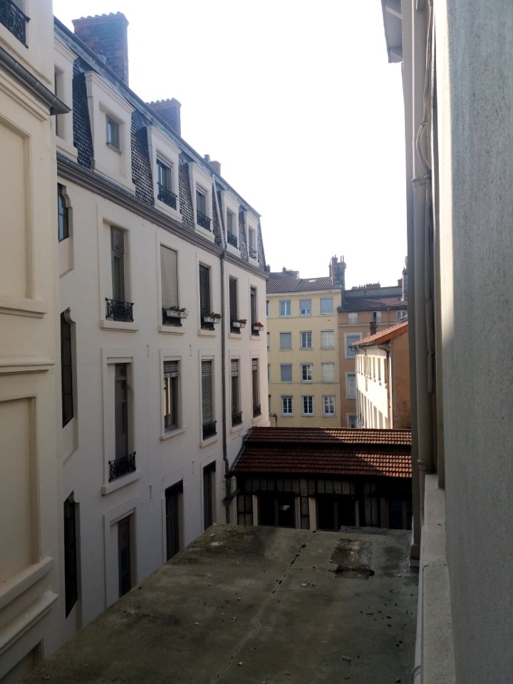 Institut Goethe de Lyon - Haut de la cour