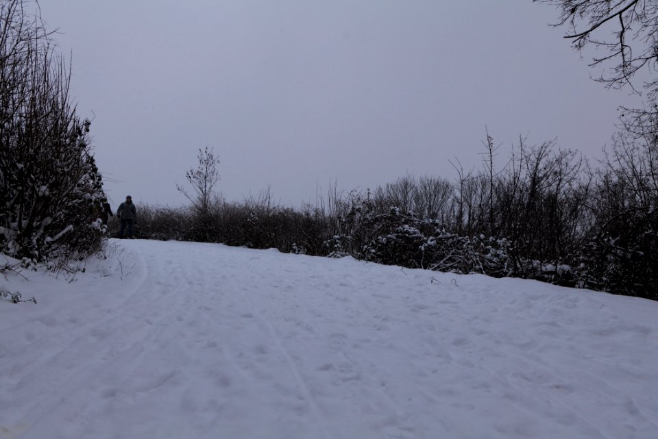 Insulaner with snow 2021-02-08 09