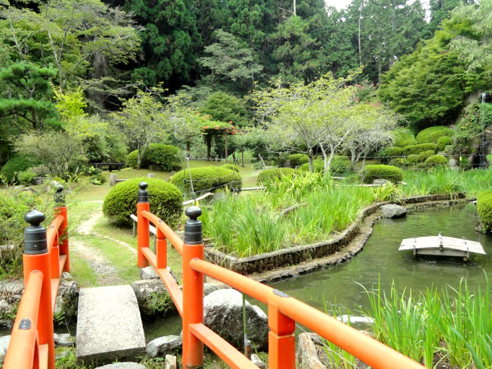 Iris garden - Ishiyamadera - Otsu, Shiga - DSC07448