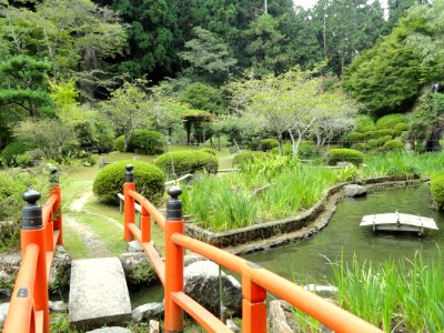Iris garden - Ishiyamadera - Otsu, Shiga - DSC07448