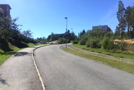 Jordstjerneveien