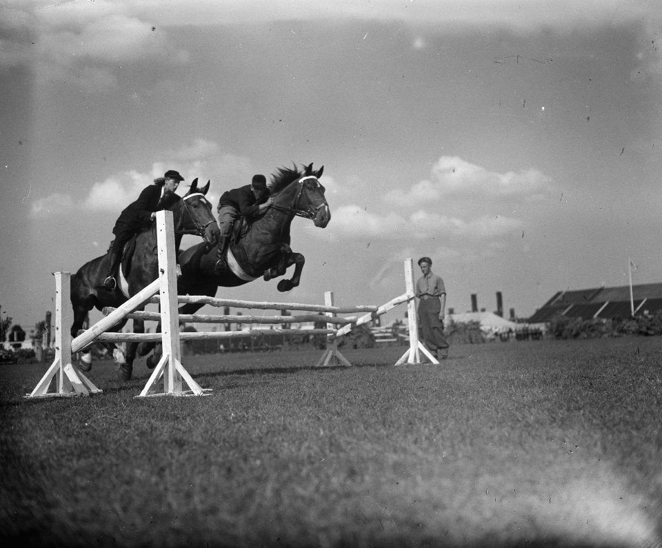 Internationaal Concours Hippique Zwolle, Bestanddeelnr 902-3050
