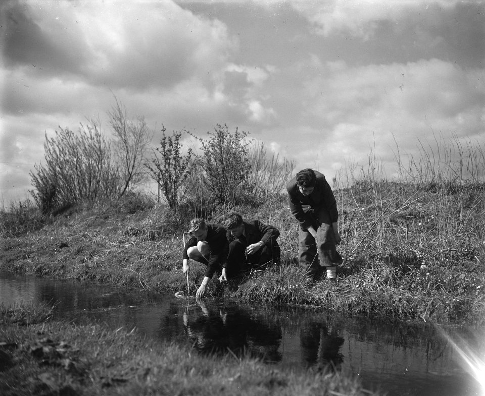 Jongens vangen salamanders, Bestanddeelnr 902-6858