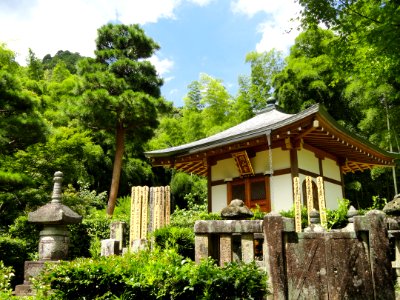 Jojakkoji - Kyoto - DSC06173