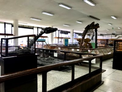 José Royo & Gómez Geological Museum View