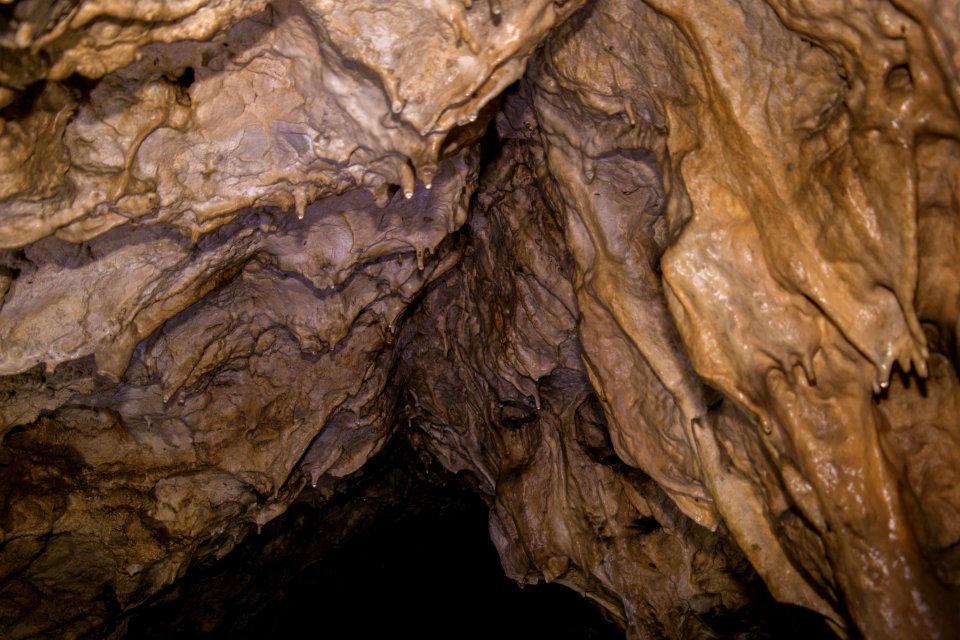 Kälberschlaghöhle (A 14) 07