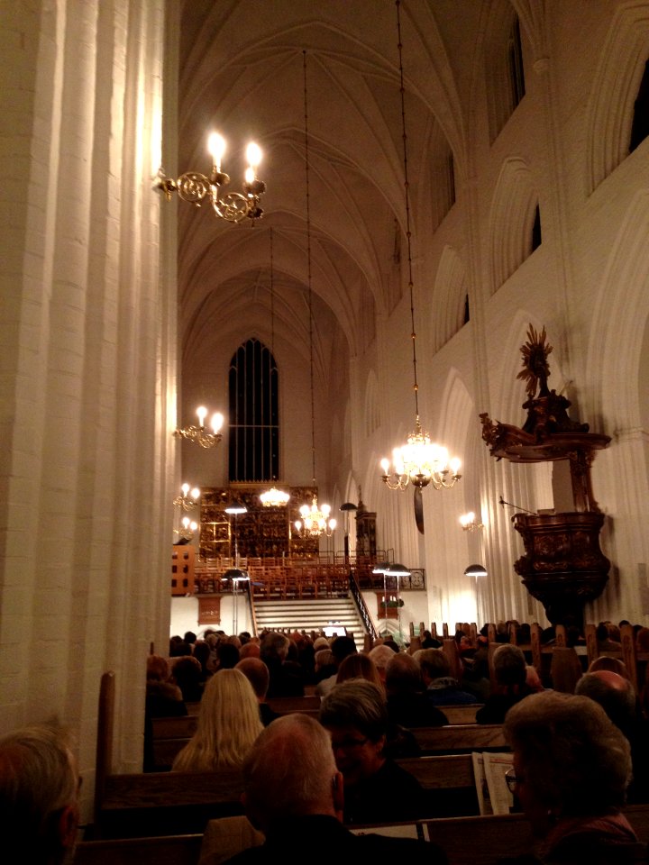 Julekoncert i Odense Domkirke 2013