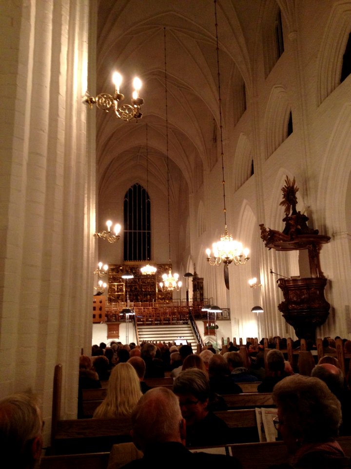 Julekoncert i Odense Domkirke 2013 photo