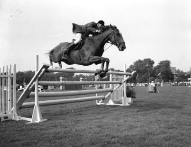 Jubileum concours hippique van Zuid Hollandse Jachtvereniging. Winnaar W.G. Hen…, Bestanddeelnr 907-2887